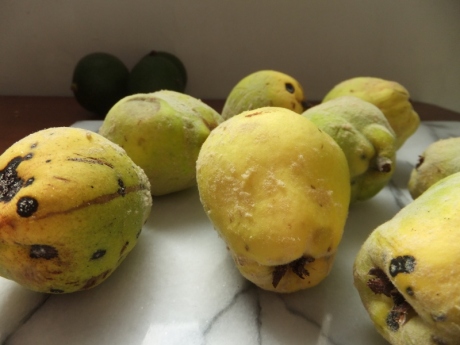 Quince and avocado