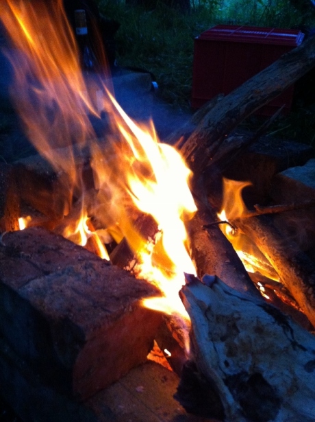 Fire and logs