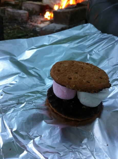 Chocolate biscuit marshmallow sandwich